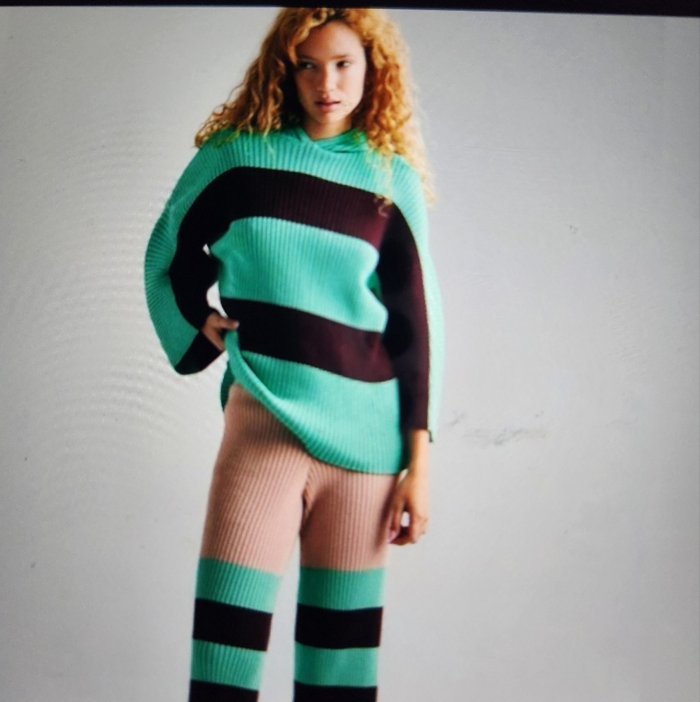 Free People Teal and Dark Brown Striped Sweater